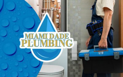 The Top 10 Common Plumbing Issues Homeowners Face