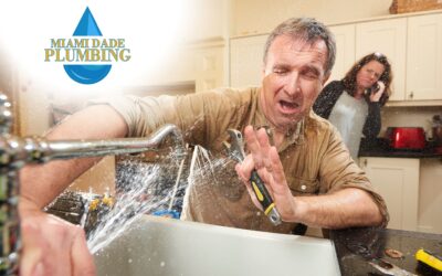 Dangers of DIY Plumbing: Why Trusting Professionals Matters