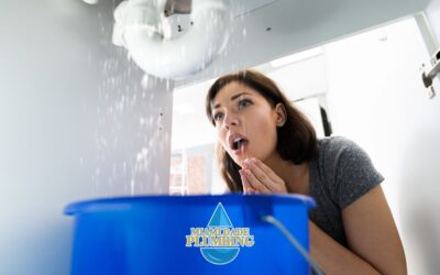 Emergency Plumbing Services in Pinecrest FL