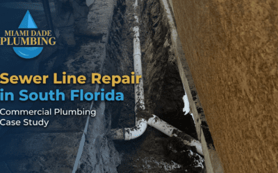 Sewer Line Repair in South Florida: How We Saved a Commercial Plumbing Project from Costly Delays